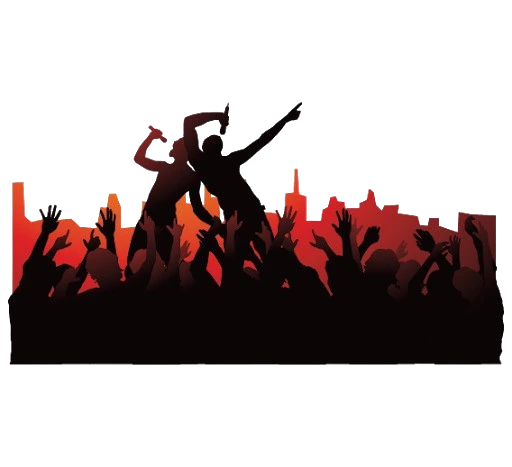 Private Concert Experience